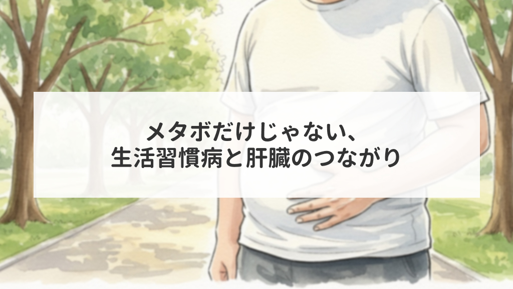 メタボだけじゃない、生活習慣病と肝臓のつながり